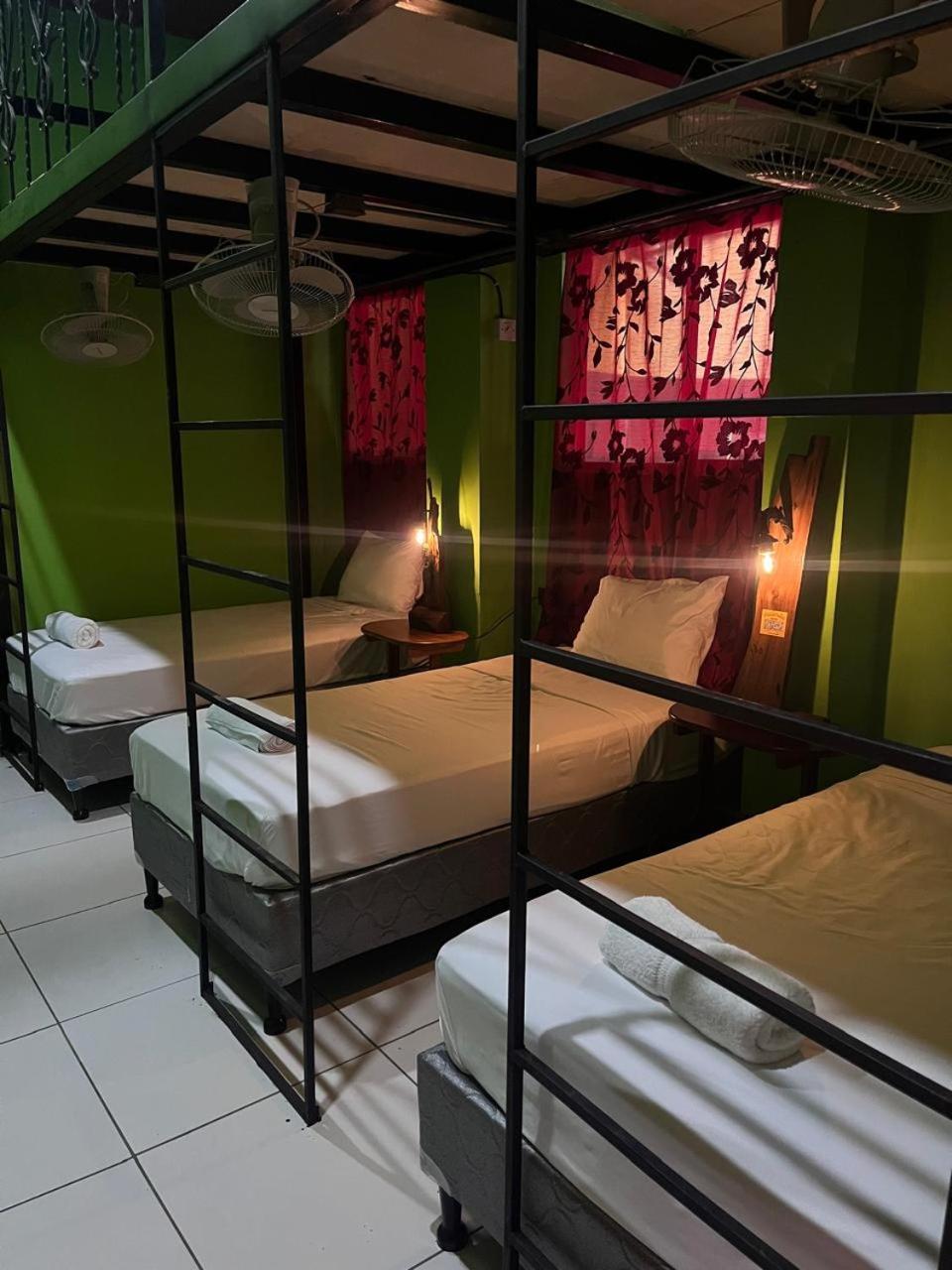 Madrono Hostel León エクステリア 写真