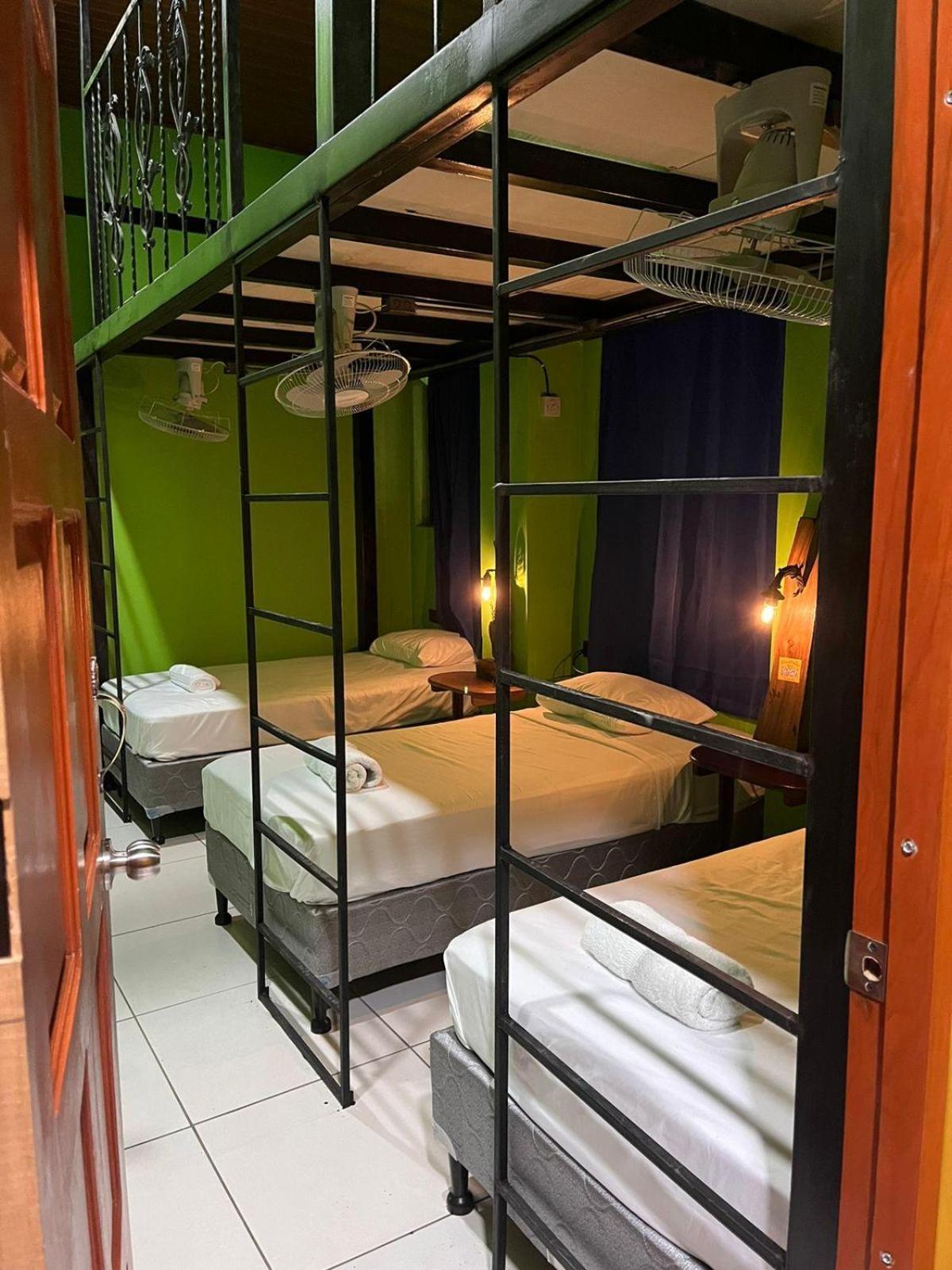 Madrono Hostel León エクステリア 写真