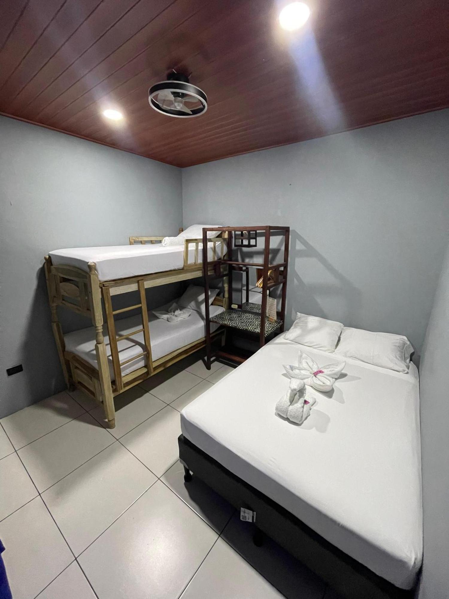 Madrono Hostel León エクステリア 写真
